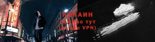 твердый Пересвет