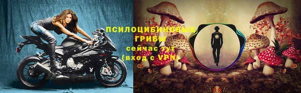 ГАЛЛЮЦИНОГЕННЫЕ ГРИБЫ Арсеньев