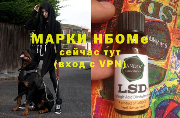 ГАЛЛЮЦИНОГЕННЫЕ ГРИБЫ Арсеньев